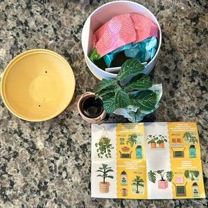 MGA miniverse make it mini lifestyle home series 1 Fiddle Leaf Fig